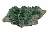 Fluorescent Green Fluorite With Galena - Rogerley Mine, England #173997-2
